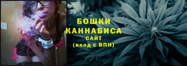 индика Бородино