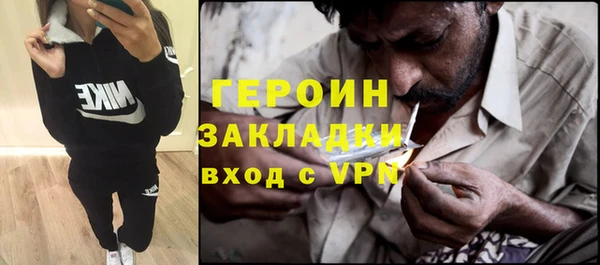 индика Бородино