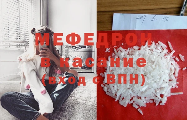 индика Бородино