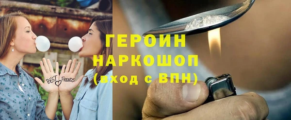 индика Бородино