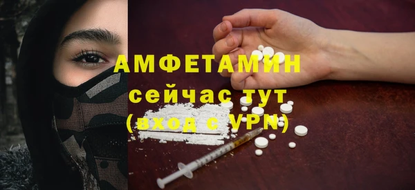 индика Бородино