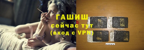 индика Бородино