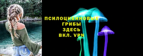 спиды Бронницы