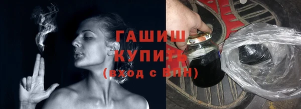 индика Бородино