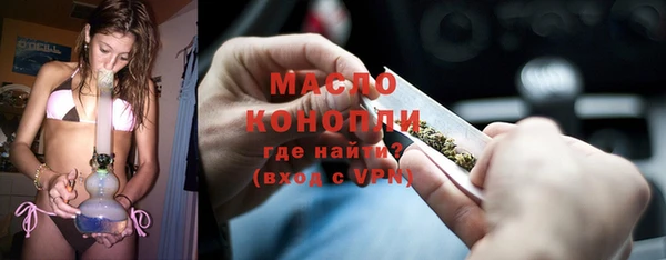 индика Бородино