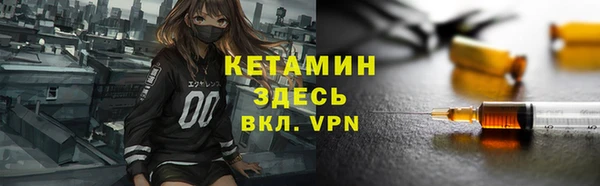 индика Бородино