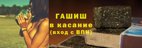 индика Бородино
