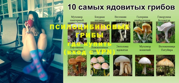 индика Бородино