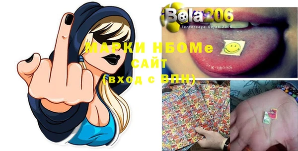 индика Бородино