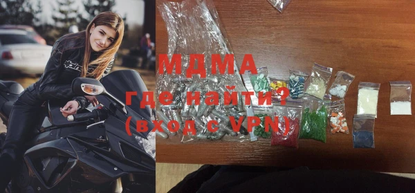 индика Бородино