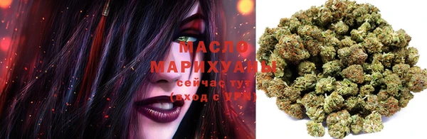 индика Бородино