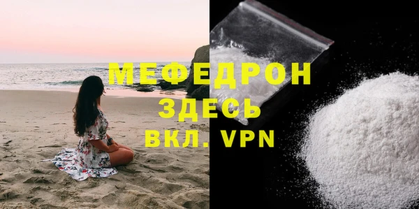 индика Бородино