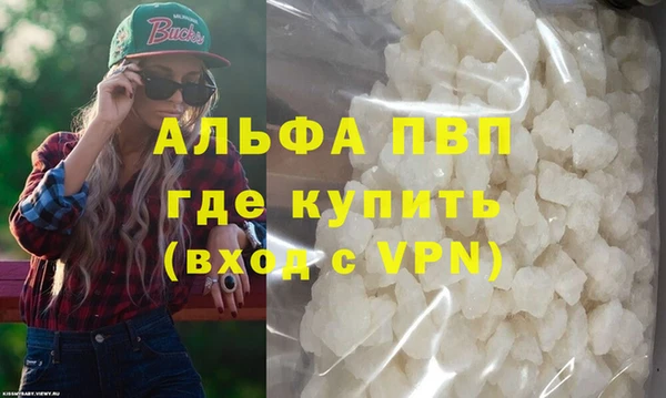 индика Бородино