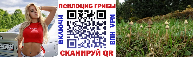 Галлюциногенные грибы Cubensis  Нерчинск 